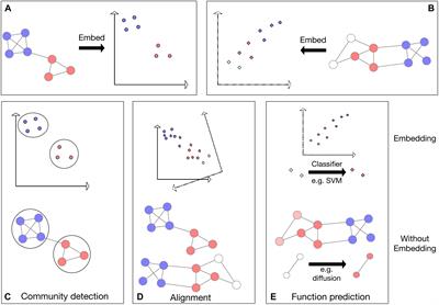 To Embed or Not: Network Embedding as a Paradigm in Computational Biology